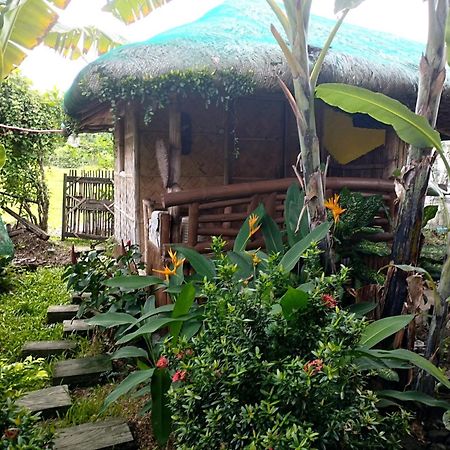 Dupas Luce Love Lodges Talipan المظهر الخارجي الصورة