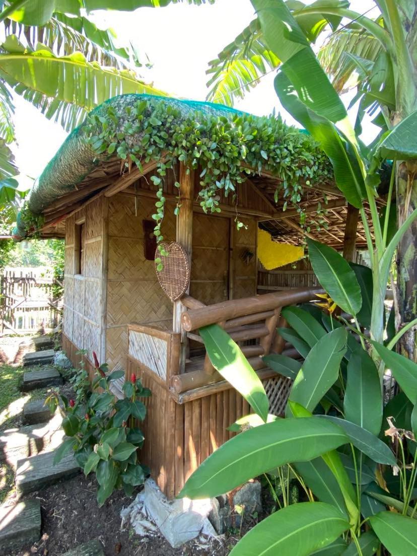 Dupas Luce Love Lodges Talipan المظهر الخارجي الصورة