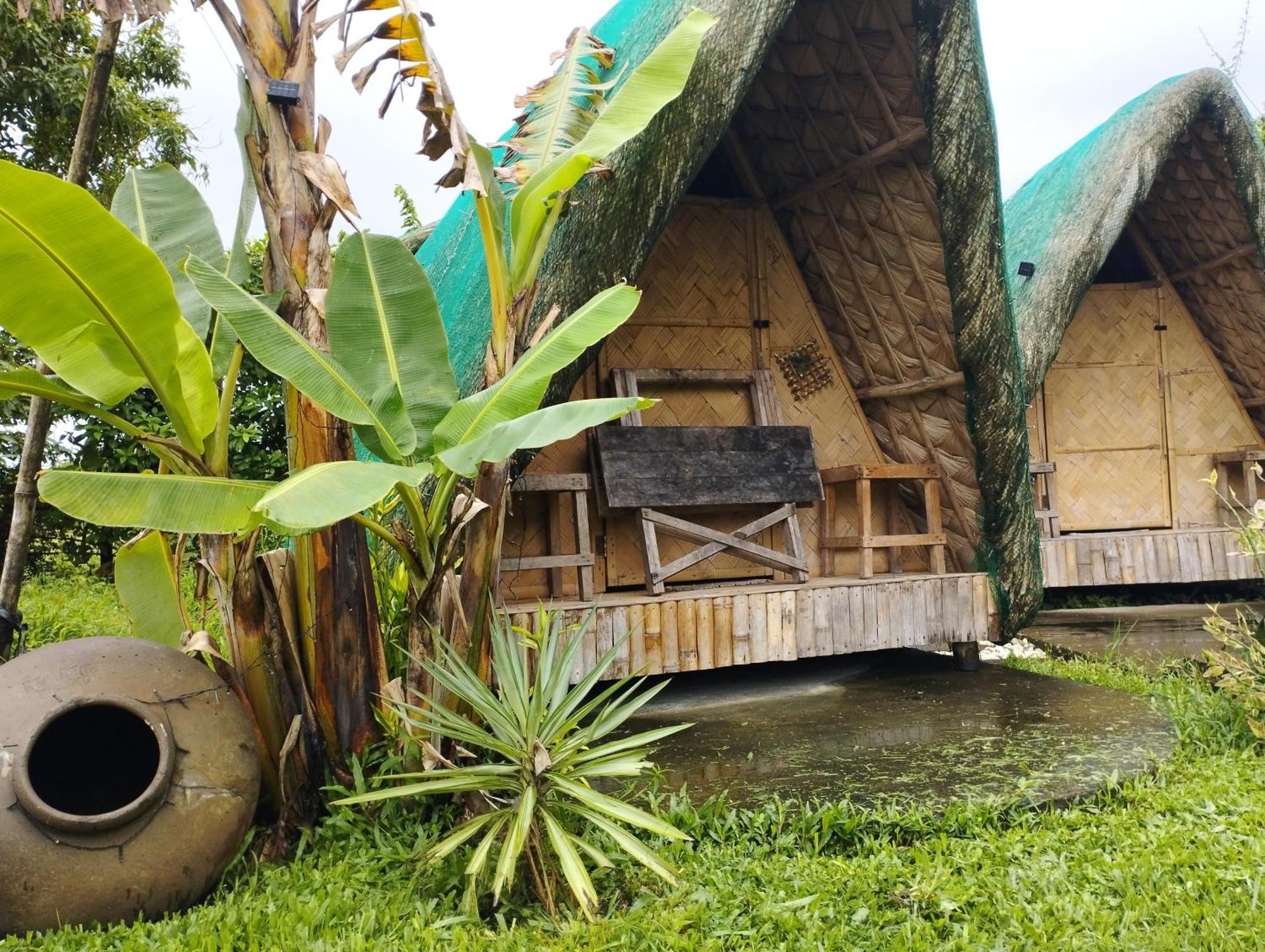 Dupas Luce Love Lodges Talipan المظهر الخارجي الصورة